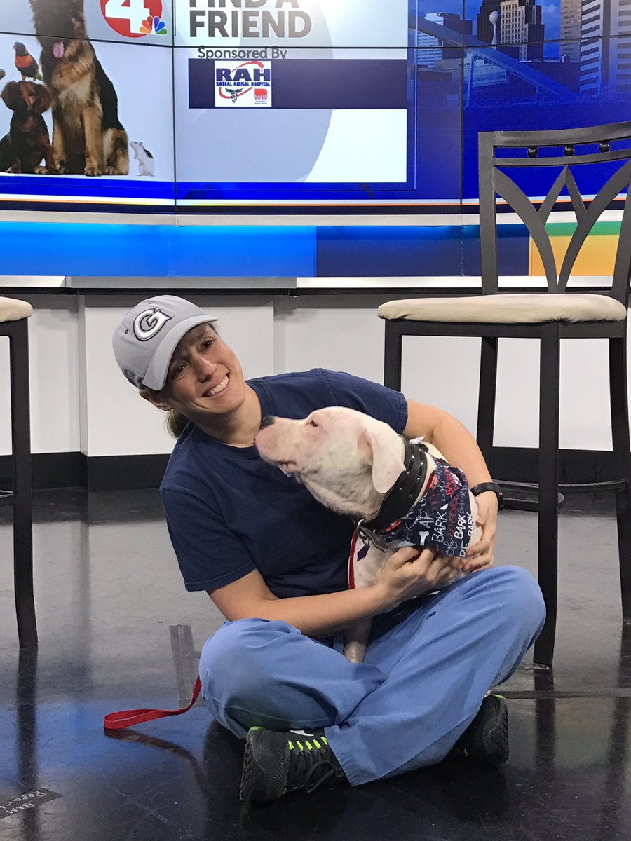 RascalDublin's tweet photo. Meet Diego from #RuffnItRescue at 8am @nbc4i @NBC4TODAY and get ready to fall in puppy love ❤️ #PitBull #adoptdog #rescuedog #puppy #cutedog https://t.co/IAJStKc1ti