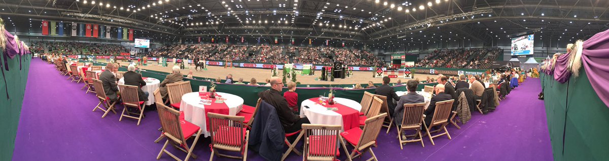 eventslens's tweet photo. We will be bringing you 📷 from the @FEI_Global Vaulting later. Watch it on FEI TV where the lovely Hannah is commentating. #partnerpferd https://t.co/ar4trK8Eob