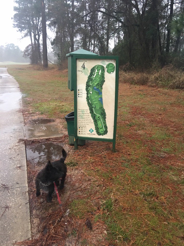 Colonelcairn's tweet image. Two legged patrol leader says bad words a lot when he walks this path! #ZSHQ