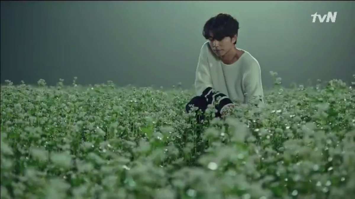 MyKoreanDramaID's tweet photo. Scene ini bikin uunncchhh unnchhh bgt!!  #goblin #Gongyoo https://t.co/Rm23uA6Wvl