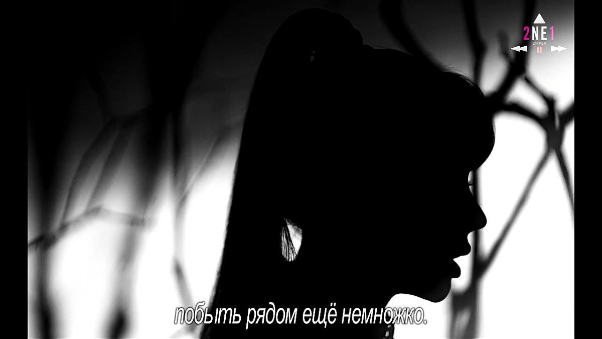#NeverSayGOODBYE2NE1