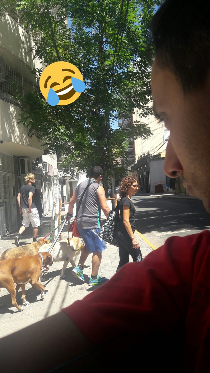 claunewells74's tweet photo. Mirando algo historico, El Sina dando la vuelta, alfin se te dio #ConPerros😂😂 https://t.co/3QuX2xhEaV