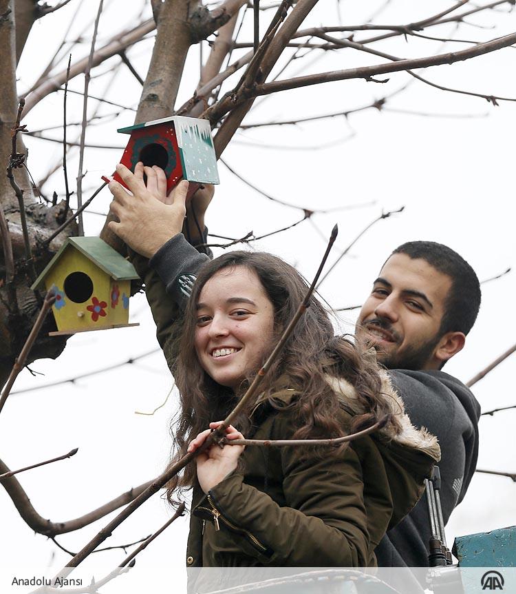 Vefaliolmak Vefaliolmak Twitter