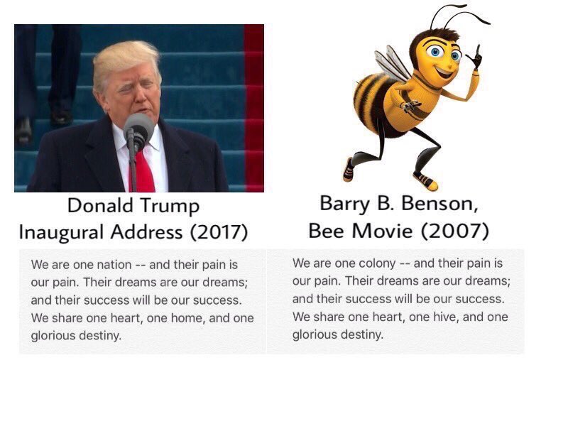 TheAwkwardTweet's tweet photo. Donald trump can steal a whole speech and become president and hear I am worrying about plagiarism in my assignment https://t.co/mBNgVYz6uh