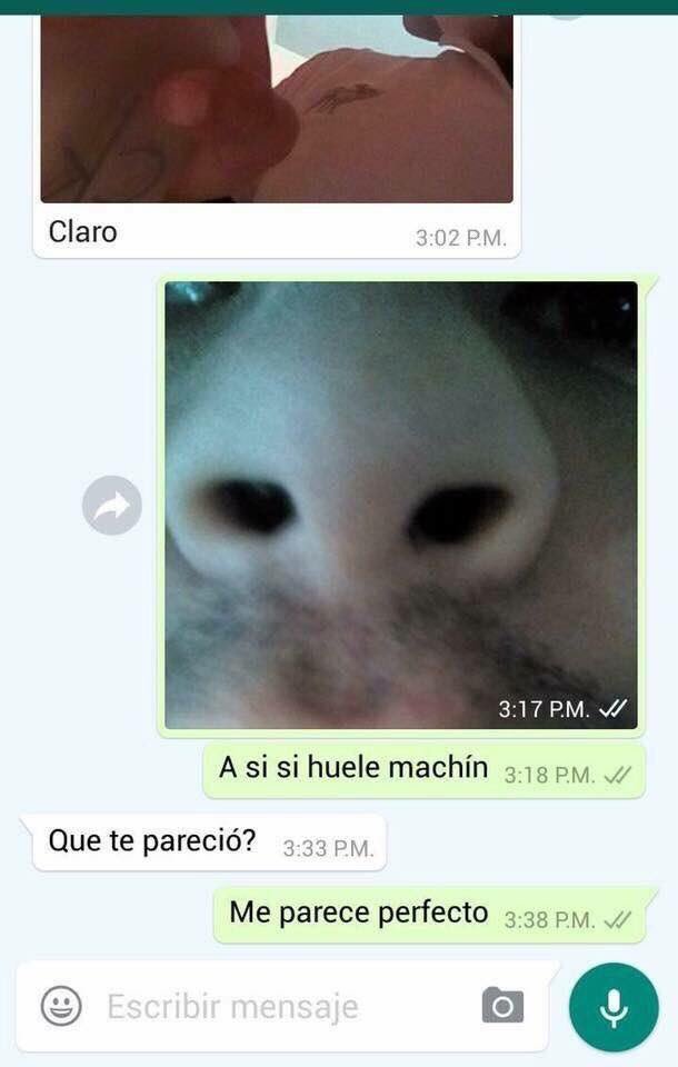 JAJAJAJAAJJA ALV 😂😂😂😂
