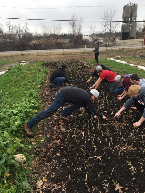 roisdathletics's tweet photo. #RObaseball players planted onions, fed chickens, turkeys & goats, & cleared brush at #BontonFarms! #WeAreRO https://t.co/nGiZnq7hoQ