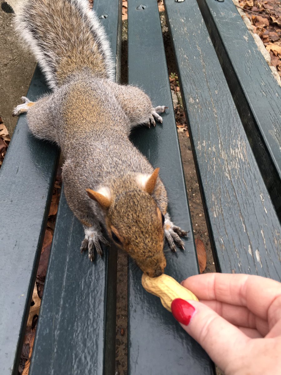 Susan M Thom, Esq ⚖️ tweet media