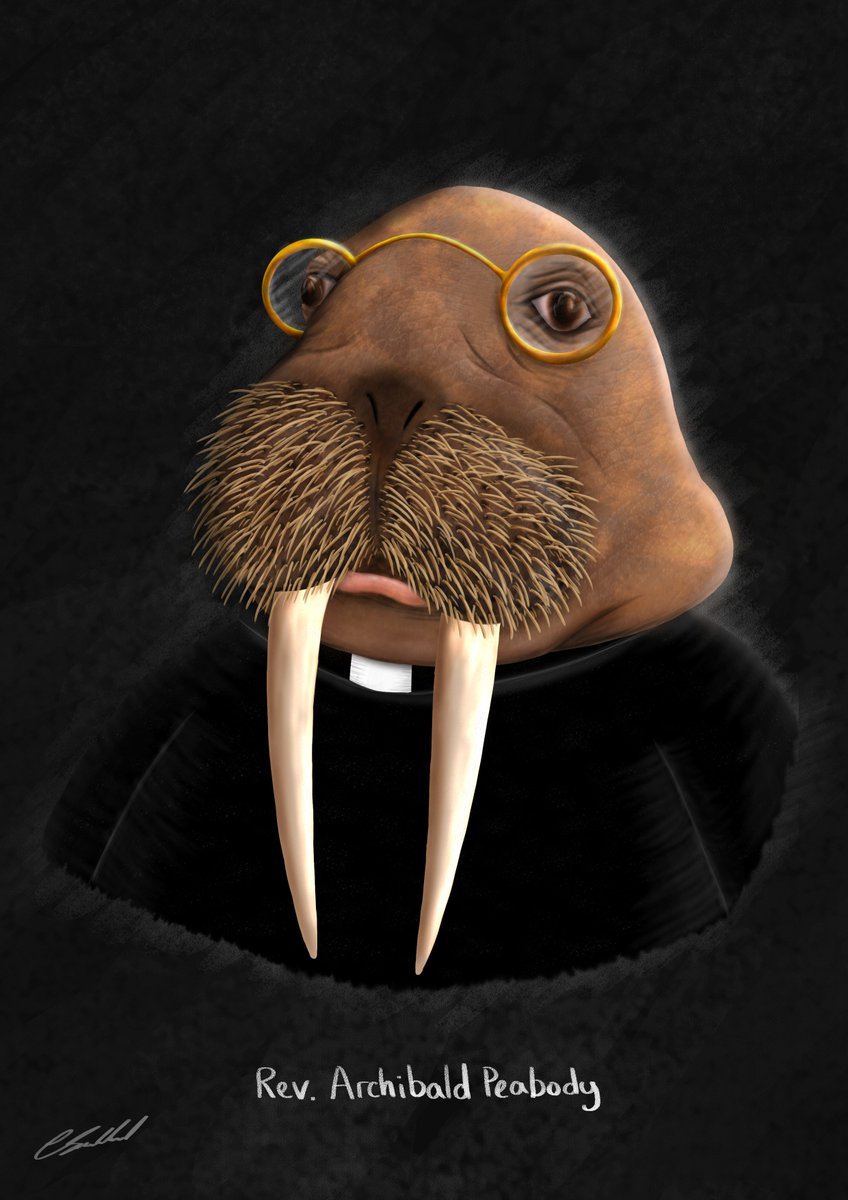 CharlottieLS's tweet photo. I present Reverend Peabody! the next in my series of fancy animals #FancyAnimals #Walrus #illustration https://t.co/bARVrBTbws