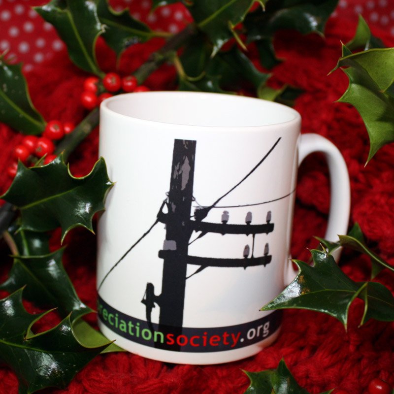TPAS0001's tweet image. WIN ONE OF THESE life-enhancing Telegraph Pole Appreciation Society Mugs in our ridiculous #Competition. telegraphpoleappreciationsociety.org