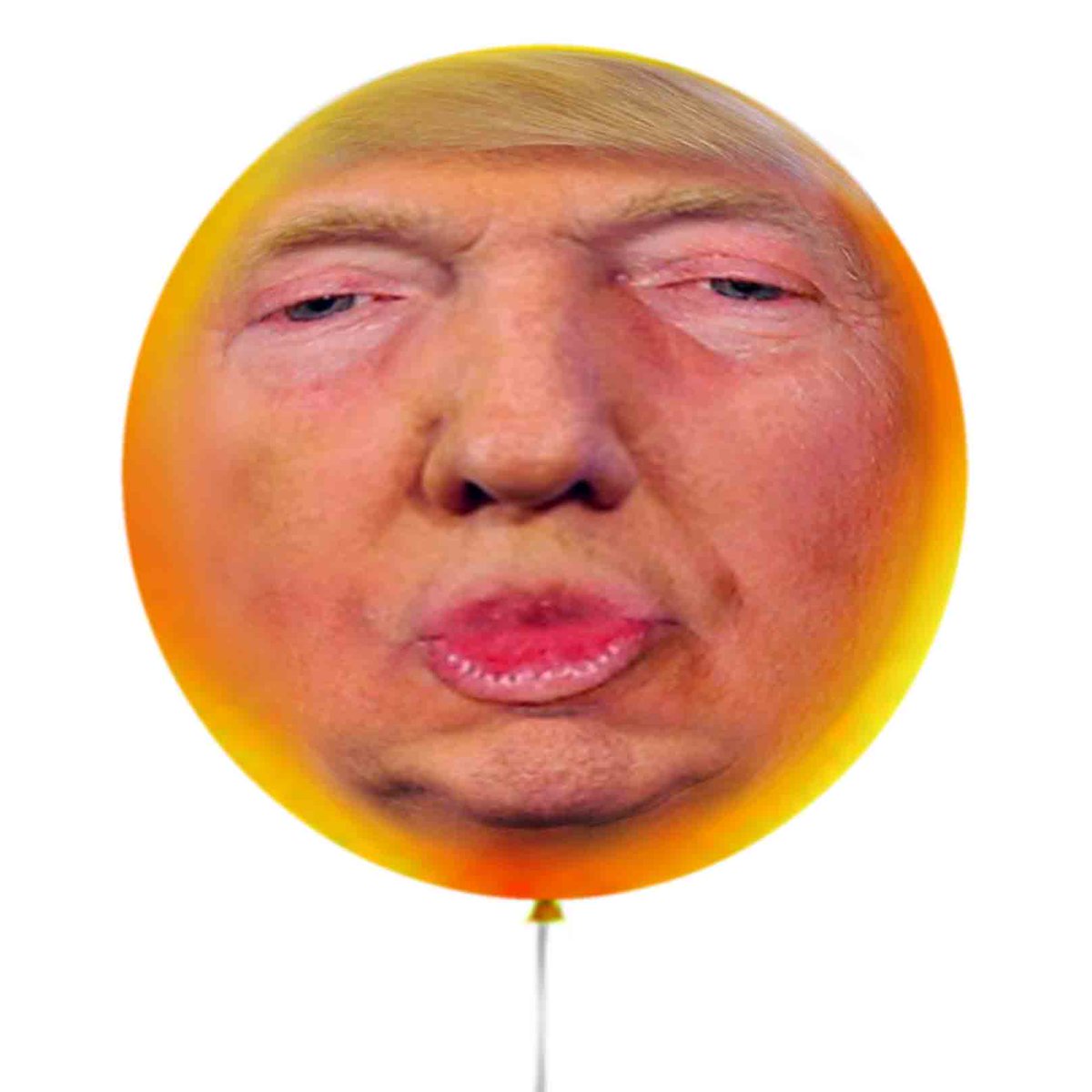 part 3 of new words for a coming era: TRUMPOOLA (noun)— much ado about nothing but Donald