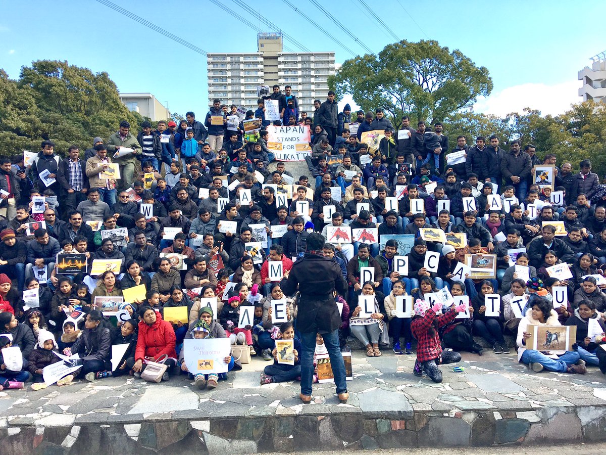 itisprashanth's tweet photo. 350+ brothers and sisters at Japan protesting ! #justiceforjallikatu https://t.co/YZPw6nZIEW