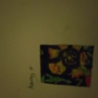 Art by Ashley Palipana(British Citizen youth Award).
The flower pattern by Ashley.
