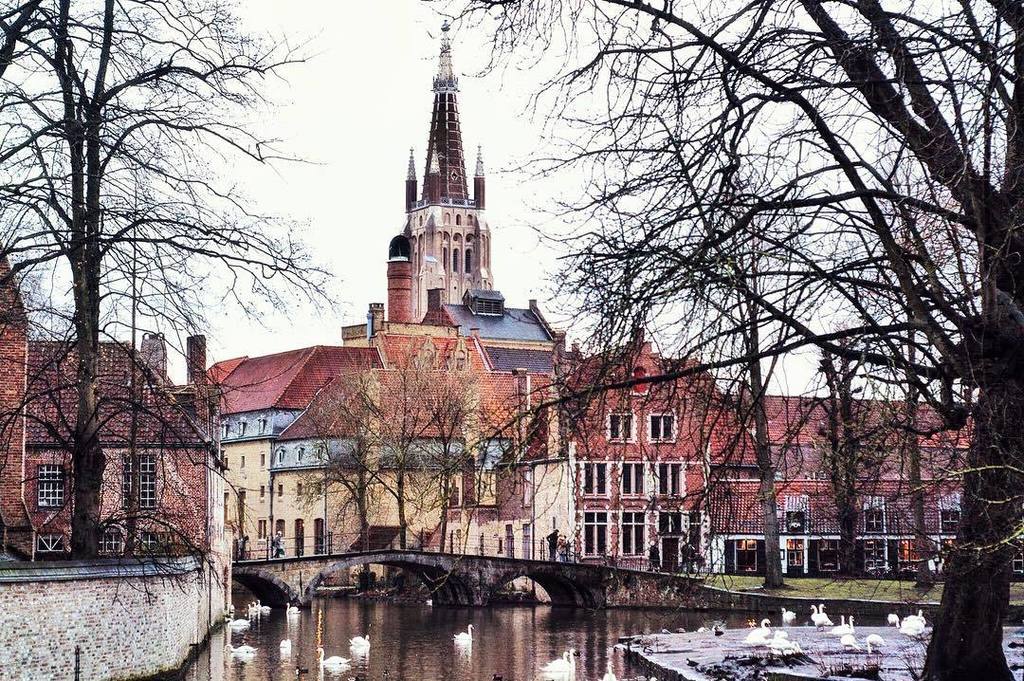 DriftingVisual's tweet photo. Beauty #city #belgium .
.
.
.
#driftingvisual #instapassport #instagood #travel #flashesof… https://t.co/shEX7vm2PC https://t.co/EMp2CU4CV8