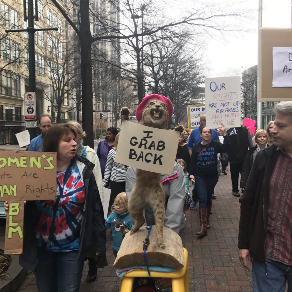 ashconger's tweet photo. @TheBloggess we think you have a friend at  #WomensMarchCharlotte https://t.co/cNZ04FageO