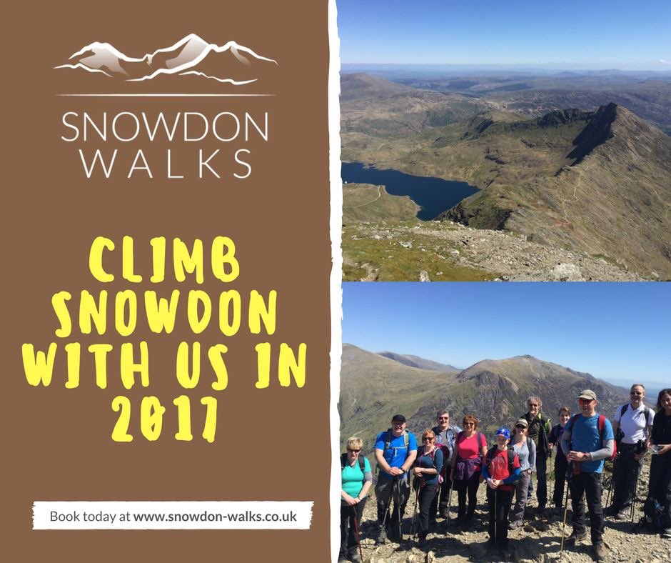 Mountain Walks tweet media