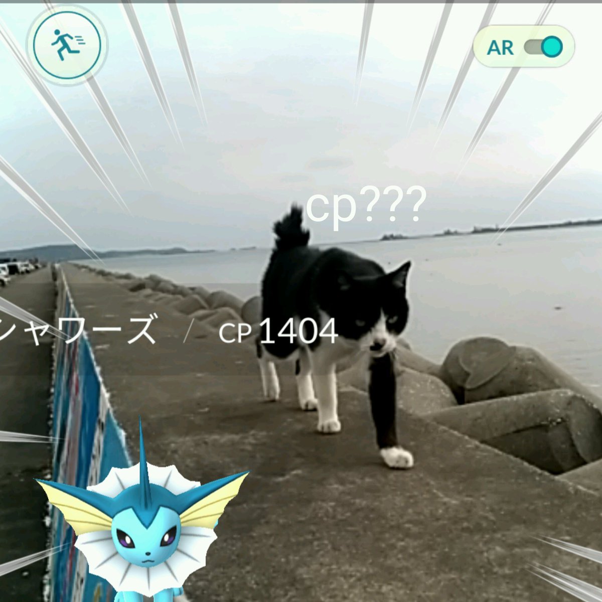 ⭐️バドラビ🏸🐰 tweet media