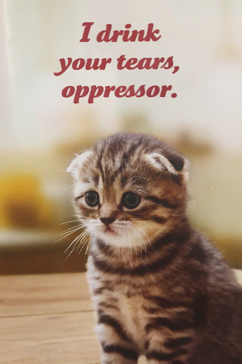 chrstned's tweet photo. My husband air dropped this photo to me this morning. Glad to have him marching with me today. #womensmarchsea https://t.co/PiHZ7wSPCx