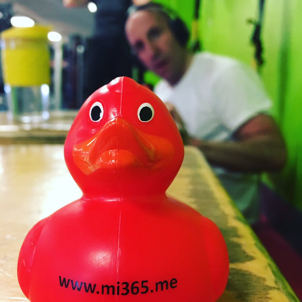 Resultado de imagem para mi365 duck