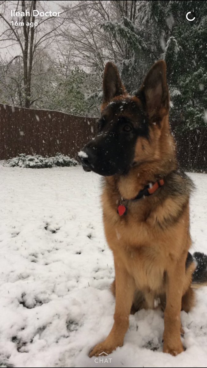 eve2doctor's tweet photo. @CuteEmergency https://t.co/XemH6VpJZ0