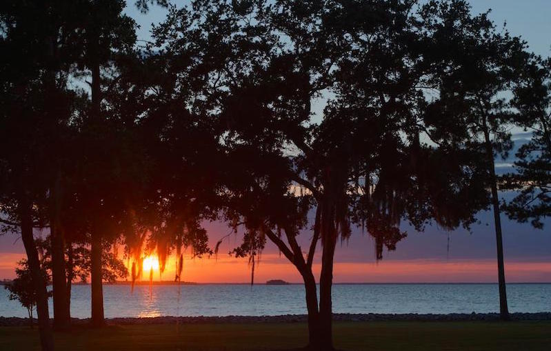 santeecooper's tweet photo. #SanteeCooper is accepting offers of waterfront lots in Calhoun, Clarendon, Orangeburg & Berkeley counties. #SClakes https://t.co/KKV6q24zA5 https://t.co/HHV2O6xUv2