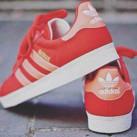 SamsonAli5's tweet image. #NewProfilePic