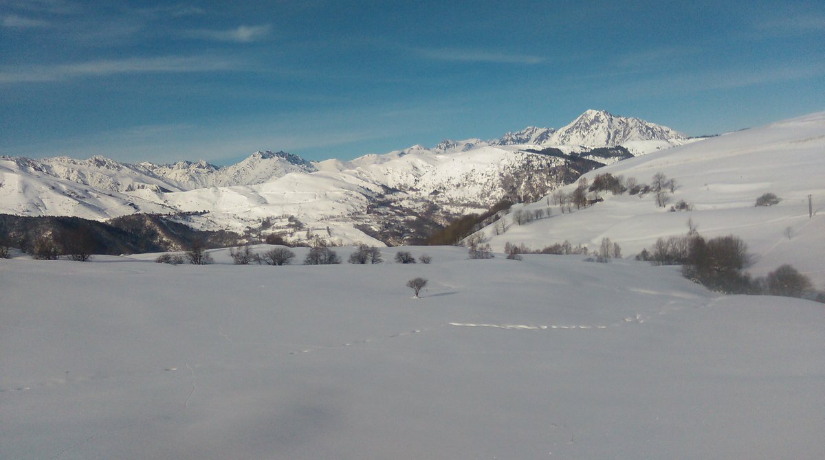 Daniel KAESER tweet media