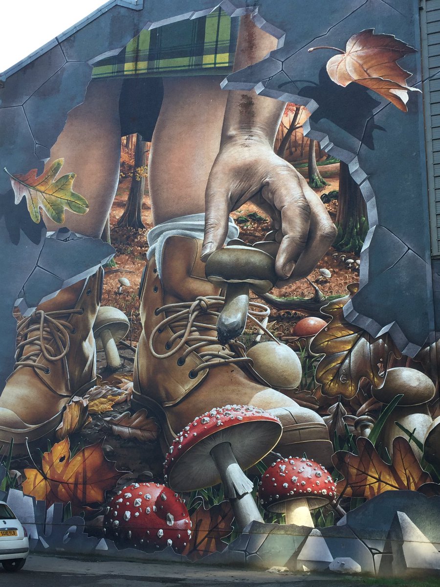 BoysEatScotland's tweet photo. Glasgow's Murals are amazing #scotland #beautiful #quirky #fun #art #mural #murials #StreetArt #glasgow https://t.co/6B3k9Vw30i