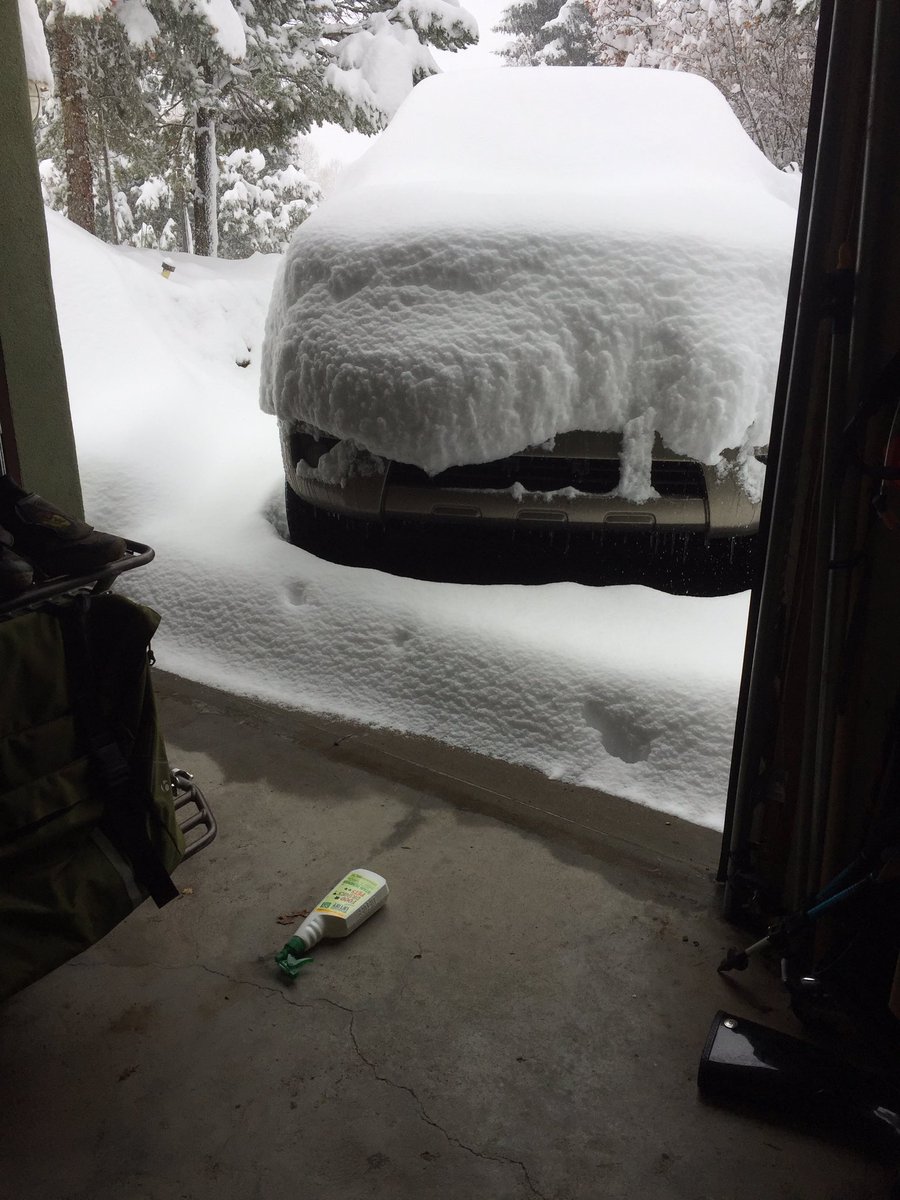 travis brown tweet media