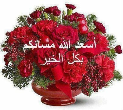 يمني (@adel02208475) on Twitter photo 