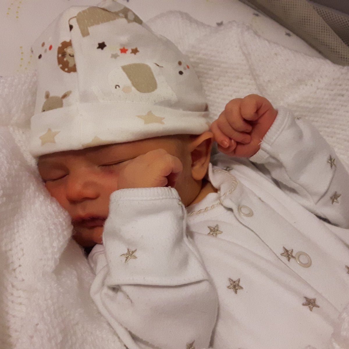 Ed McKeever tweet media