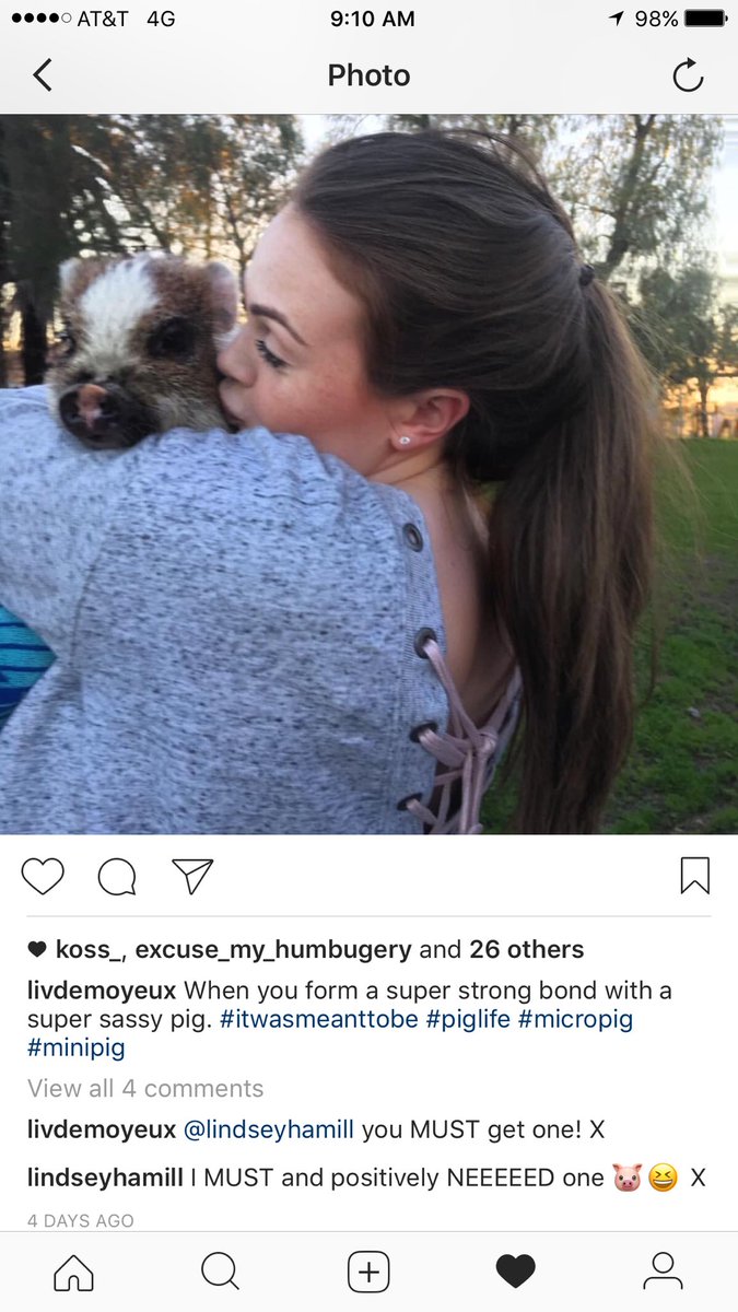 ODemoyeux's tweet photo. @Hollyyyy_  taking one for the team #hamillpig https://t.co/1Flz9STNQ1