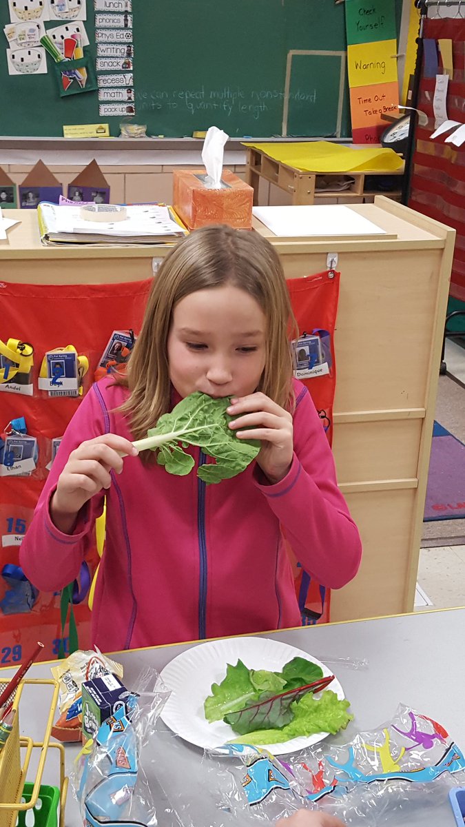 cgoetzbcps's tweet photo. Finally harvesting on our lettuce! #greenschool #psegrows #towergarden @PotSpringEl @JMartinPSES @kellprice14 https://t.co/Nn19L0NQaN