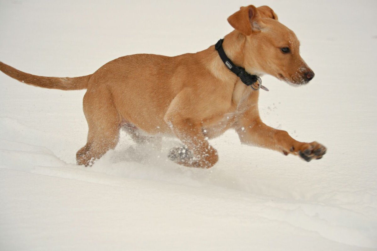 Darf ich vorstellen: Lotta, unser neustes Familienmitglied 😄