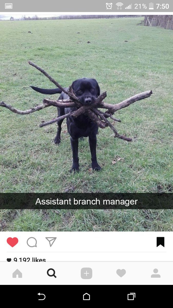 oSoupii's tweet image. 