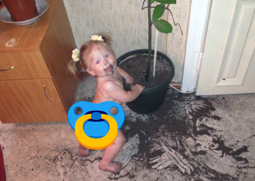 bdaary_ tweet picture