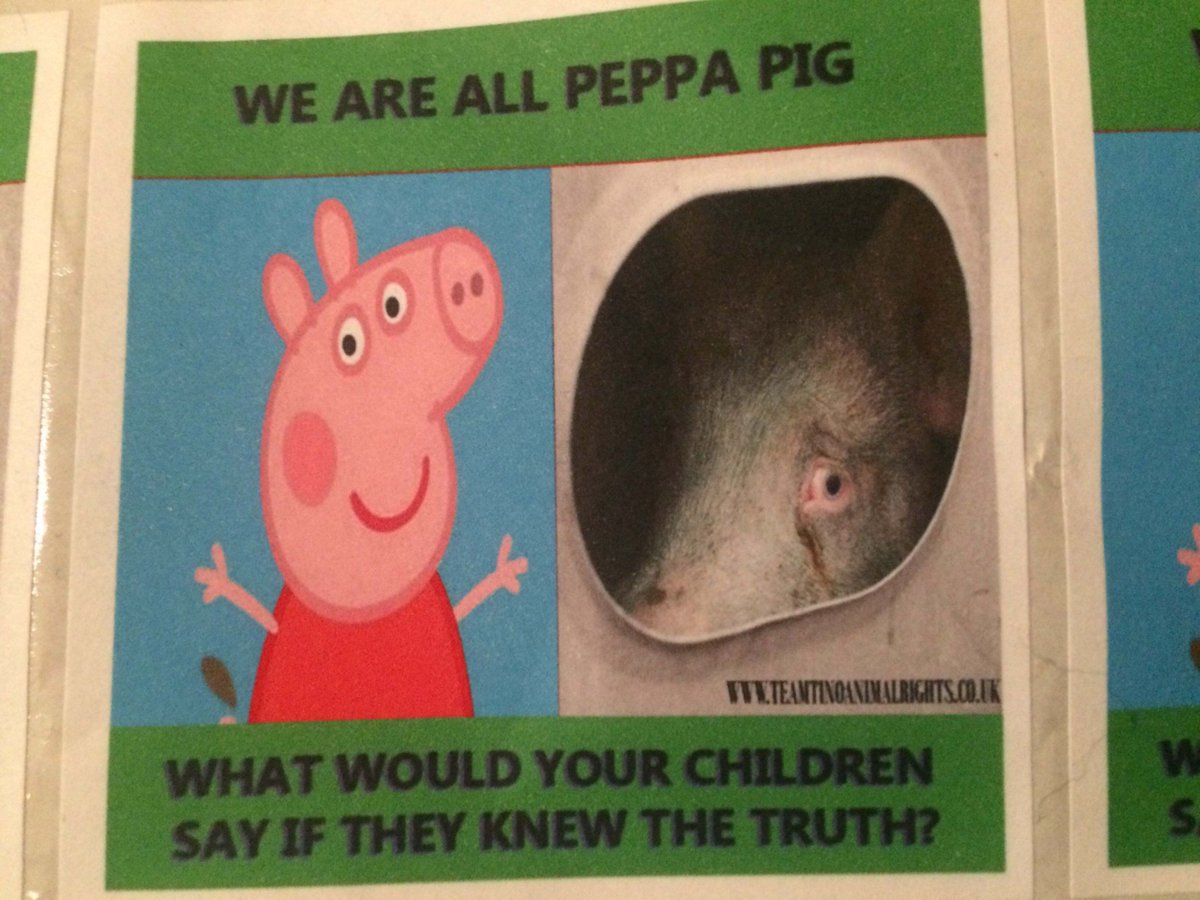 veganfuture tweet picture