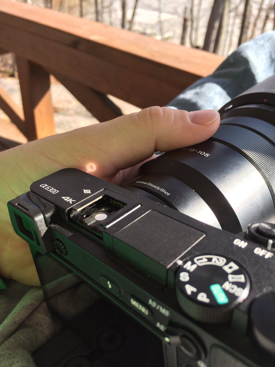 Bearded Servant tweet media