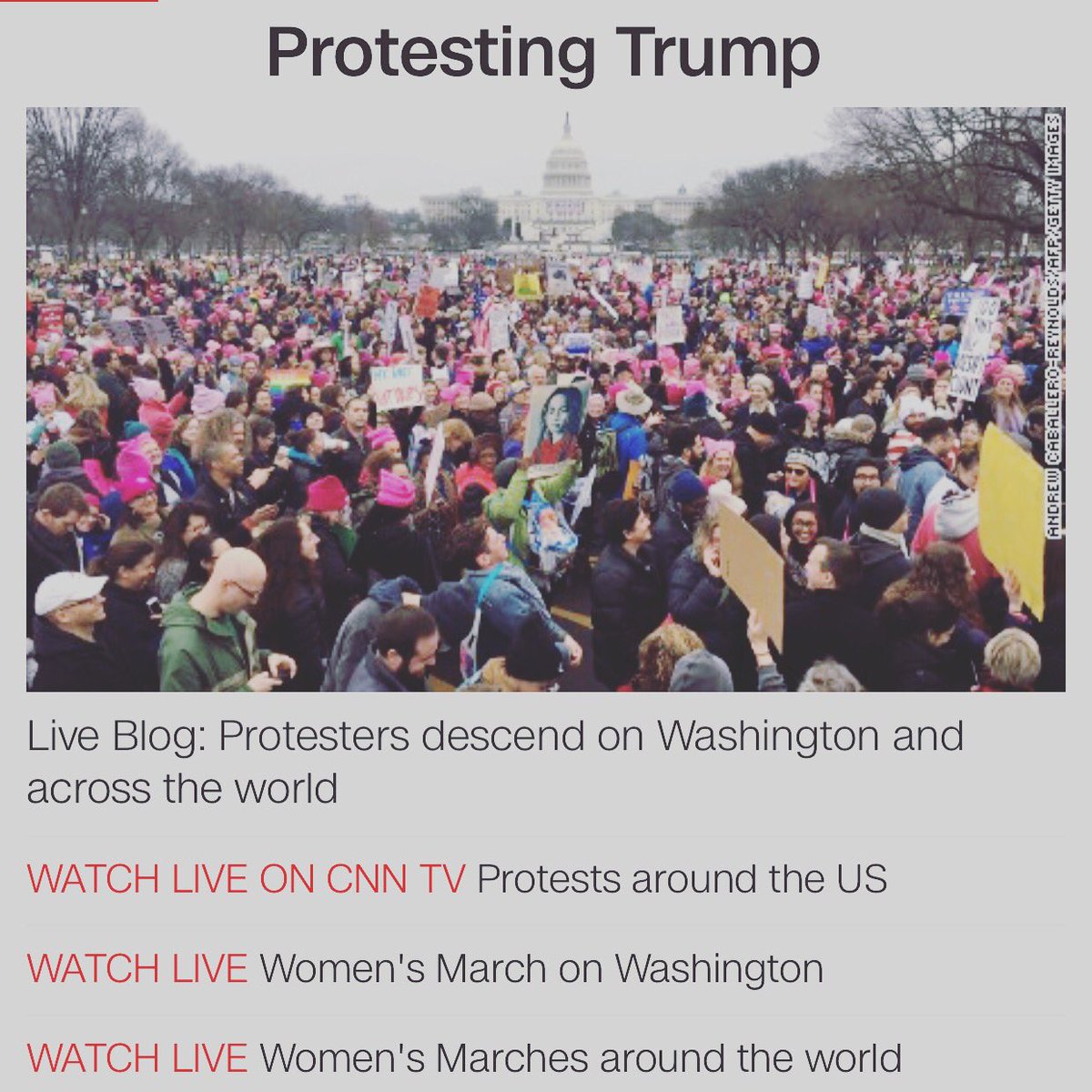 andrewqlam's tweet photo. #trump managed to finally fill the mall. A day late #ProtestTheInauguration https://t.co/THlDeM5NVE