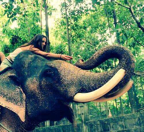 ShopatAphrodite's tweet photo. Goals 😍🐘🙌 https://t.co/qww7W9w5Kx