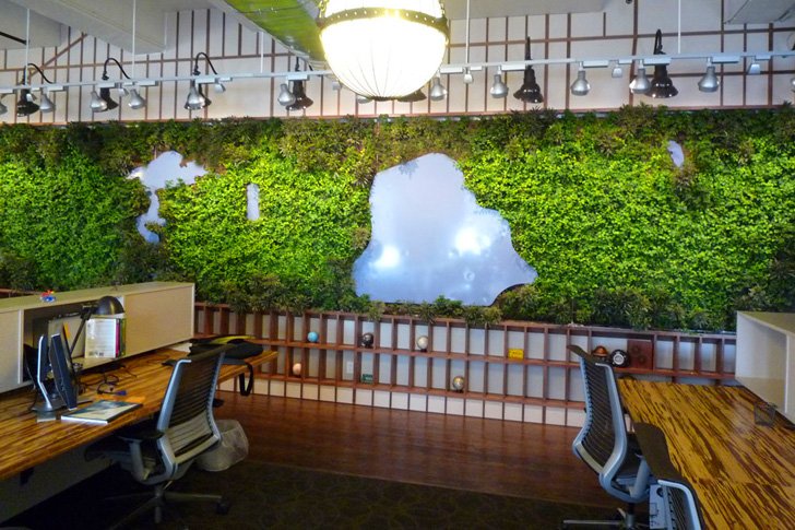 plantsolutions's tweet photo. Imagine having a #livingwall like this in your office space! #plantconnection https://t.co/idUc74wZ4D https://t.co/GbVmj5vuof