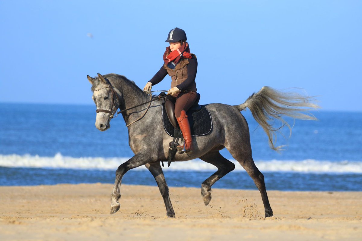 Maria_Pura's tweet photo. Mijn prachtige dochter Chris. ##snertrit #c&amp;carabians #oosterwolde #arabians #paarden Ieder jaar organiseert mijn dochter een strandrit. https://t.co/Cm8IHr0po3