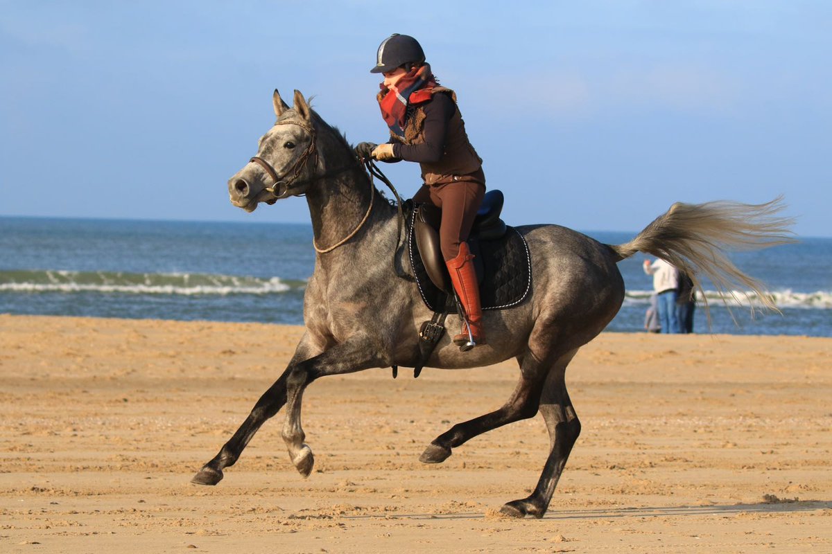 Maria_Pura's tweet photo. Mijn prachtige dochter Chris. ##snertrit #c&amp;carabians #oosterwolde #arabians #paarden Ieder jaar organiseert mijn dochter een strandrit. https://t.co/Cm8IHr0po3