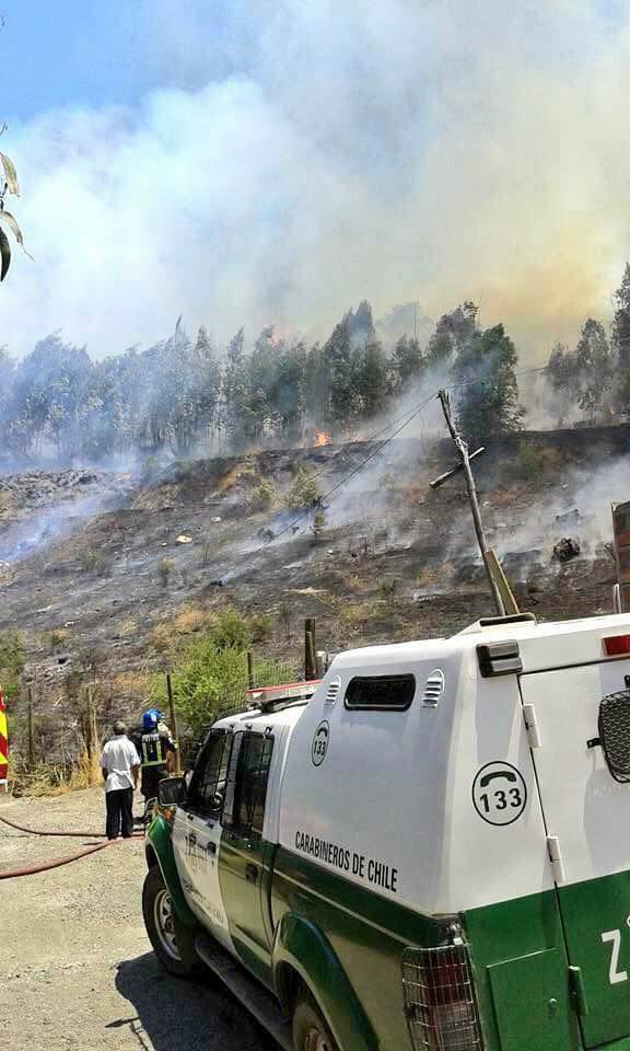 Hasbuamoneyman's tweet photo. #estadodecatastrofe #Pumanque Inmigrantes haitianos voluntarios para combatir incendio forestal en catemu. 👏👏 https://t.co/z8MZHwaBQF