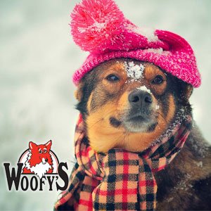 experience_CV's tweet photo. #CVWinterFest family Fun Zone Sunday opens 12pm. Highlights incld Captain Thunderpants 1:30pm & Woofy's Pet Look-alike 2pm! @DTCourtenay https://t.co/ZskQTSvYjS