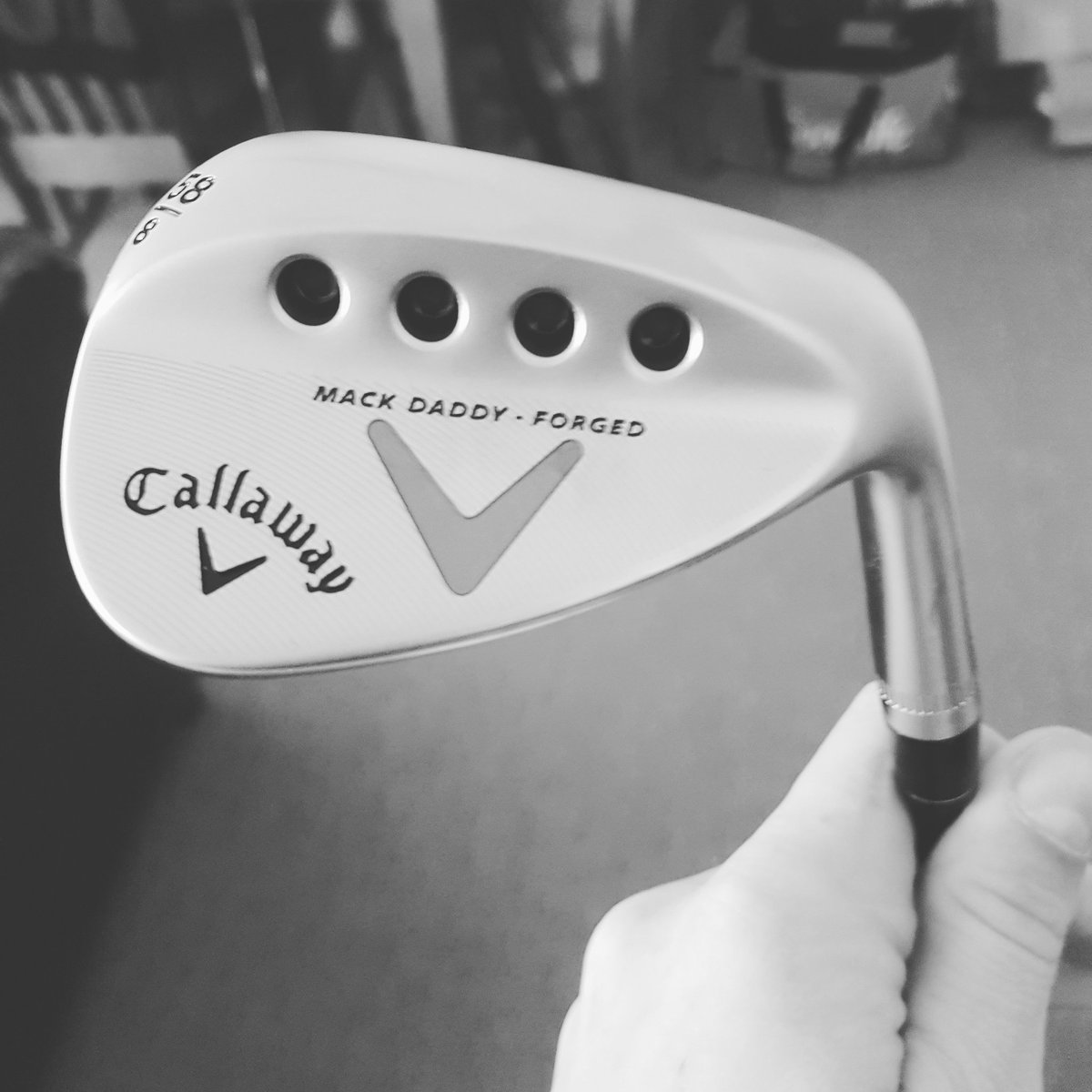 Kasey Timms tweet media