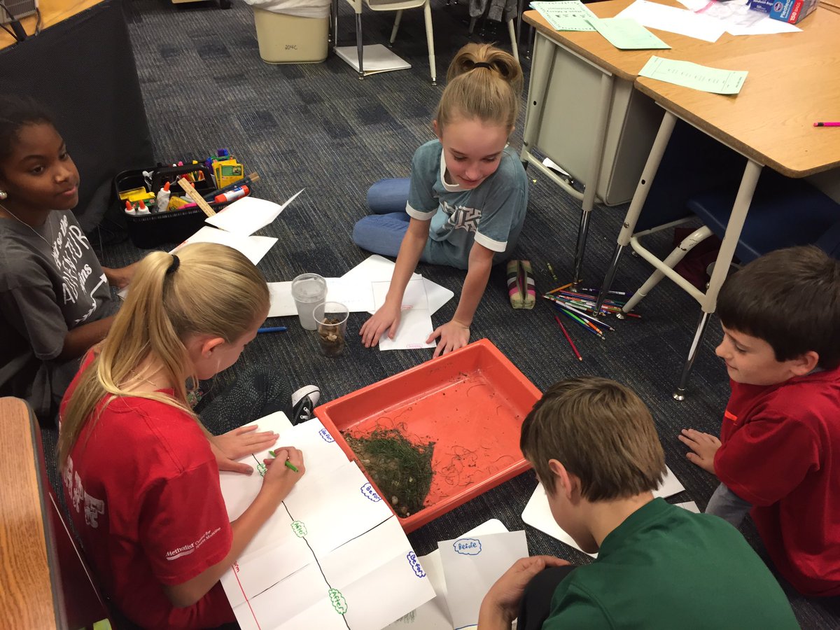 jmlipsiea's tweet photo. Scientists in the making! https://t.co/QaAWc9eupk