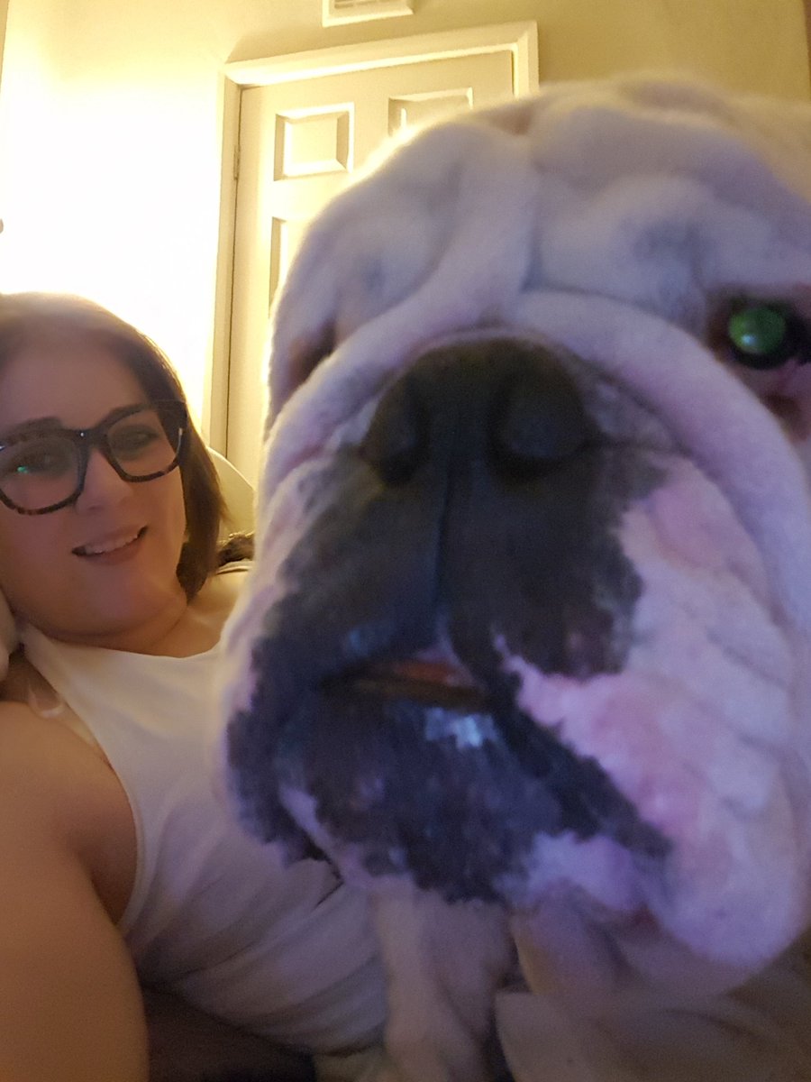 BullyMagic's tweet image. we want to know what you love best about your pets. Tallulah it's her sleeping posture. Peggy her sassy attitude and Frank his wrinkles!