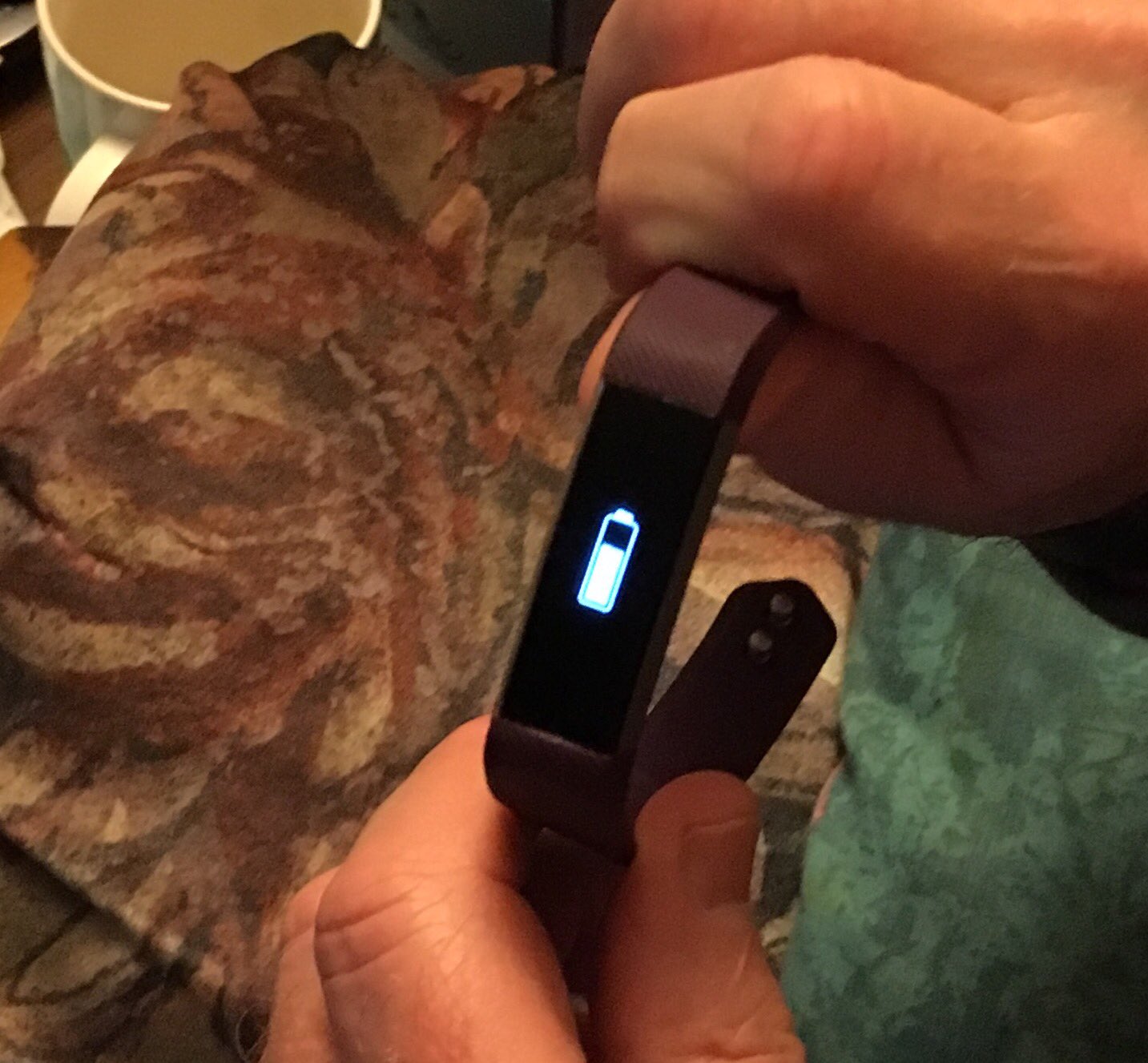 Lynn on Twitter "right just an update I fully charged Fitbit yesterday