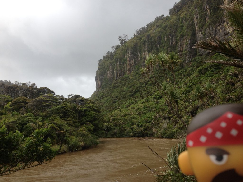 PirateDaniel17's tweet photo. The Amazon or Paparoa National Park? @WestertonPS what kind of biome is this? #forameritpoint #yaar https://t.co/qyRauKdYcL