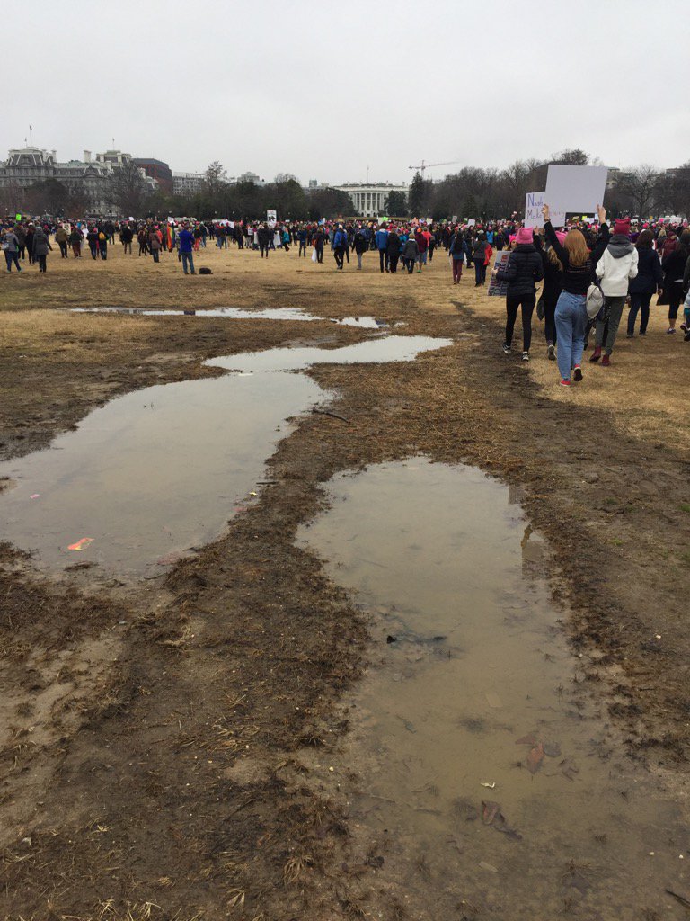BetsyEby's tweet photo. Didn't quite drain the swamp #WomensMarchOnWashington https://t.co/k2FeszbaVD